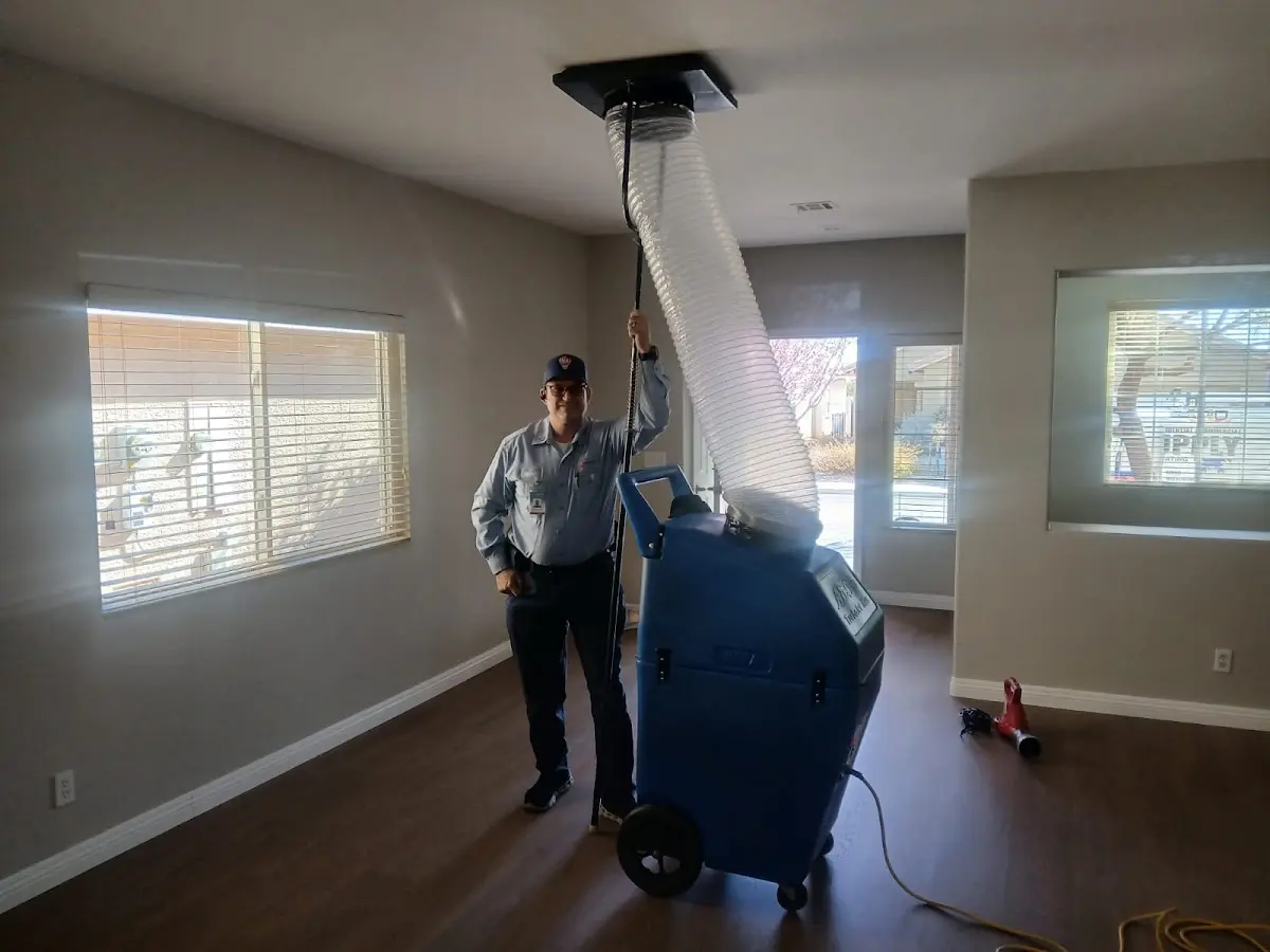 Professional Emergency HVAC Repair work inside a Mount Pleasant home